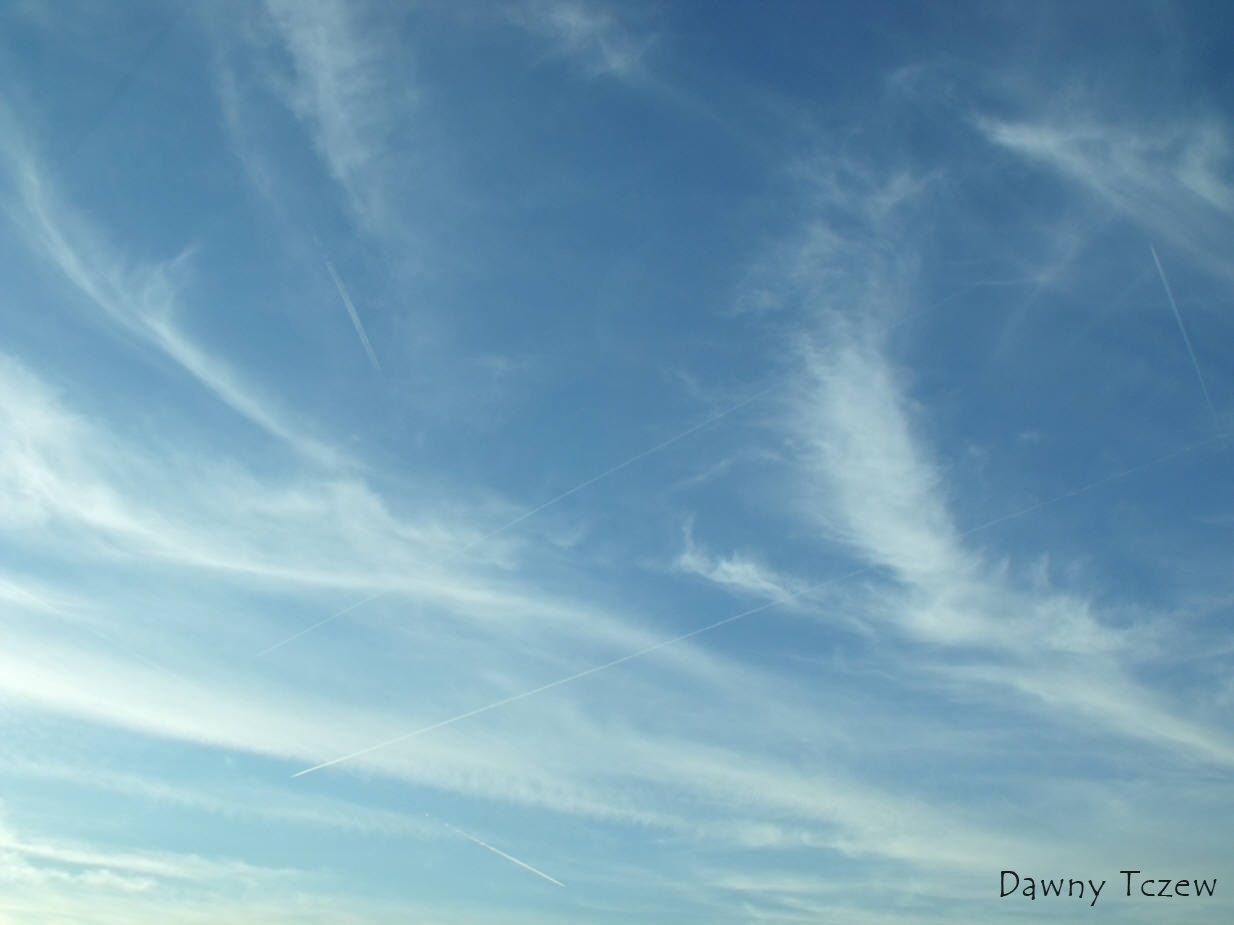 DSCF7605.jpg