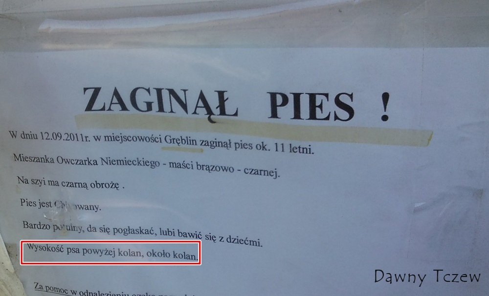 zaginął pies.JPG