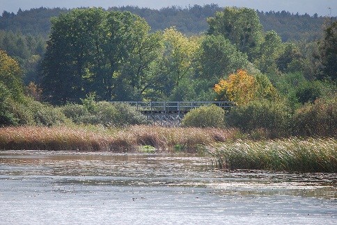 DSC_0194.JPG