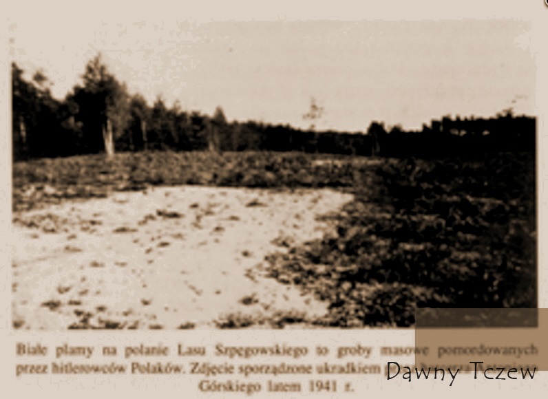 aaaAntoniGórski.jpg