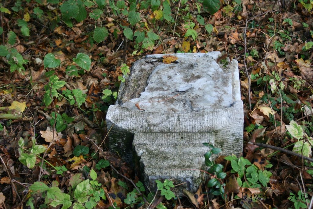 47.jpg