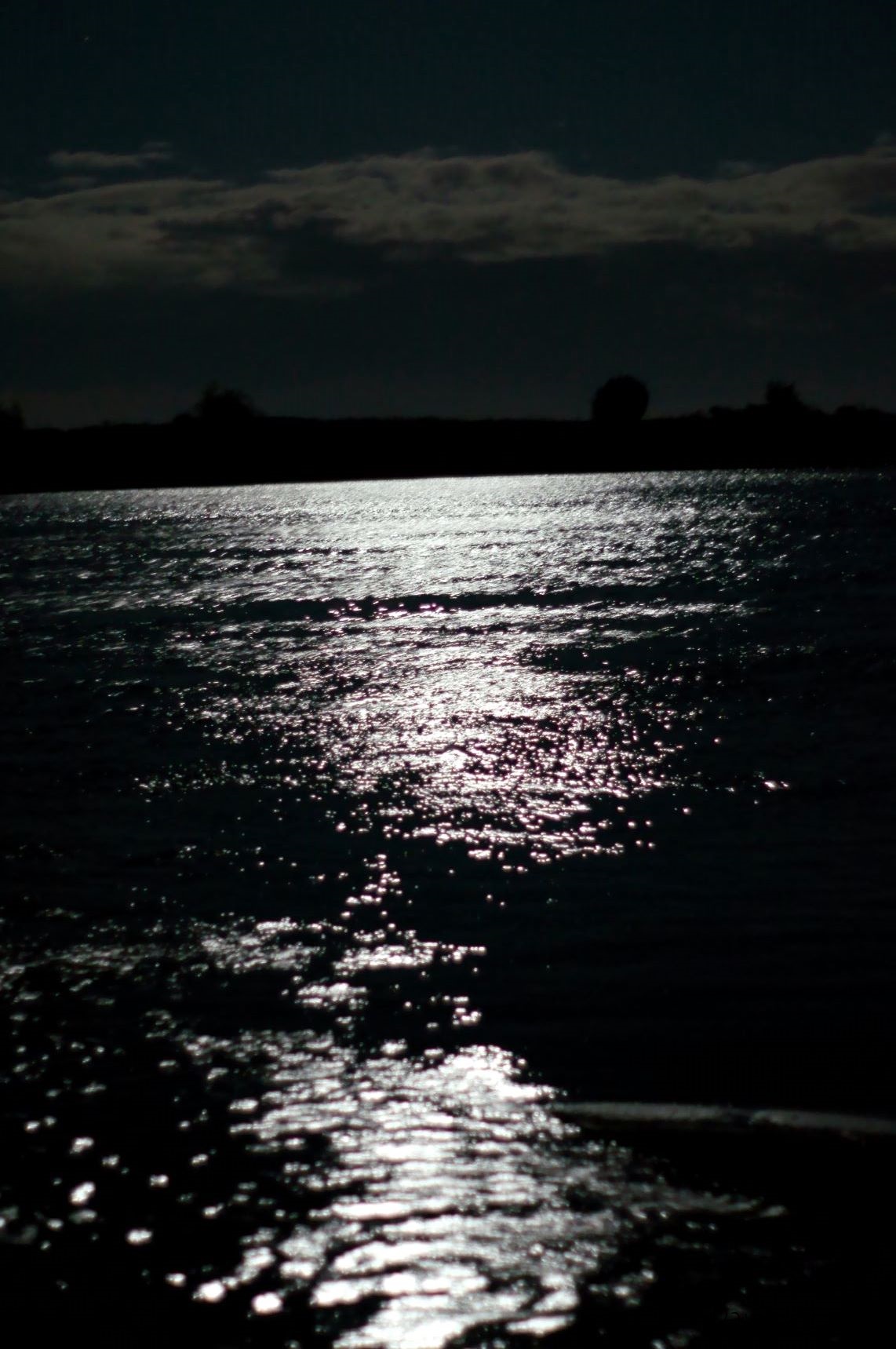 DSC02857.jpg
