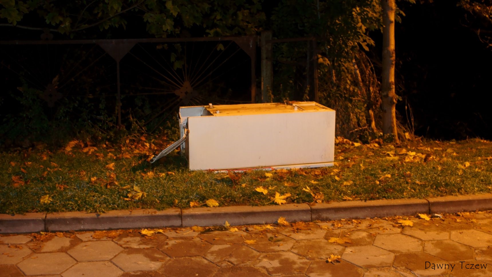 DSC02892.jpg