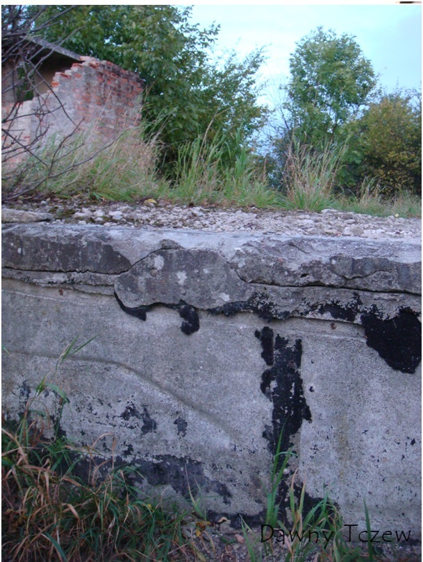 88.jpg