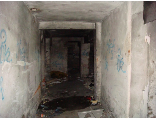 66.jpg