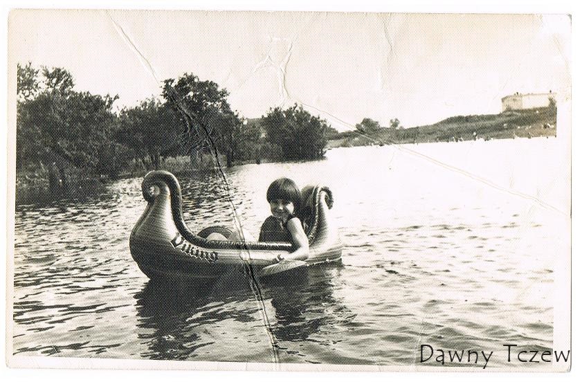 Niecka.Czyż.78.JPG