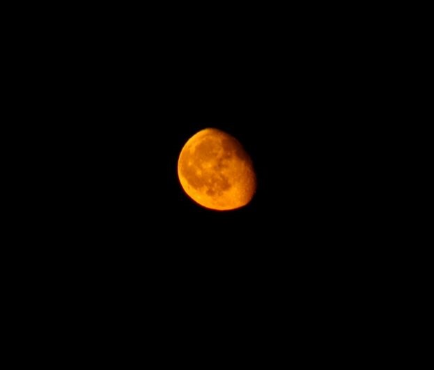 DSC0291.jpg