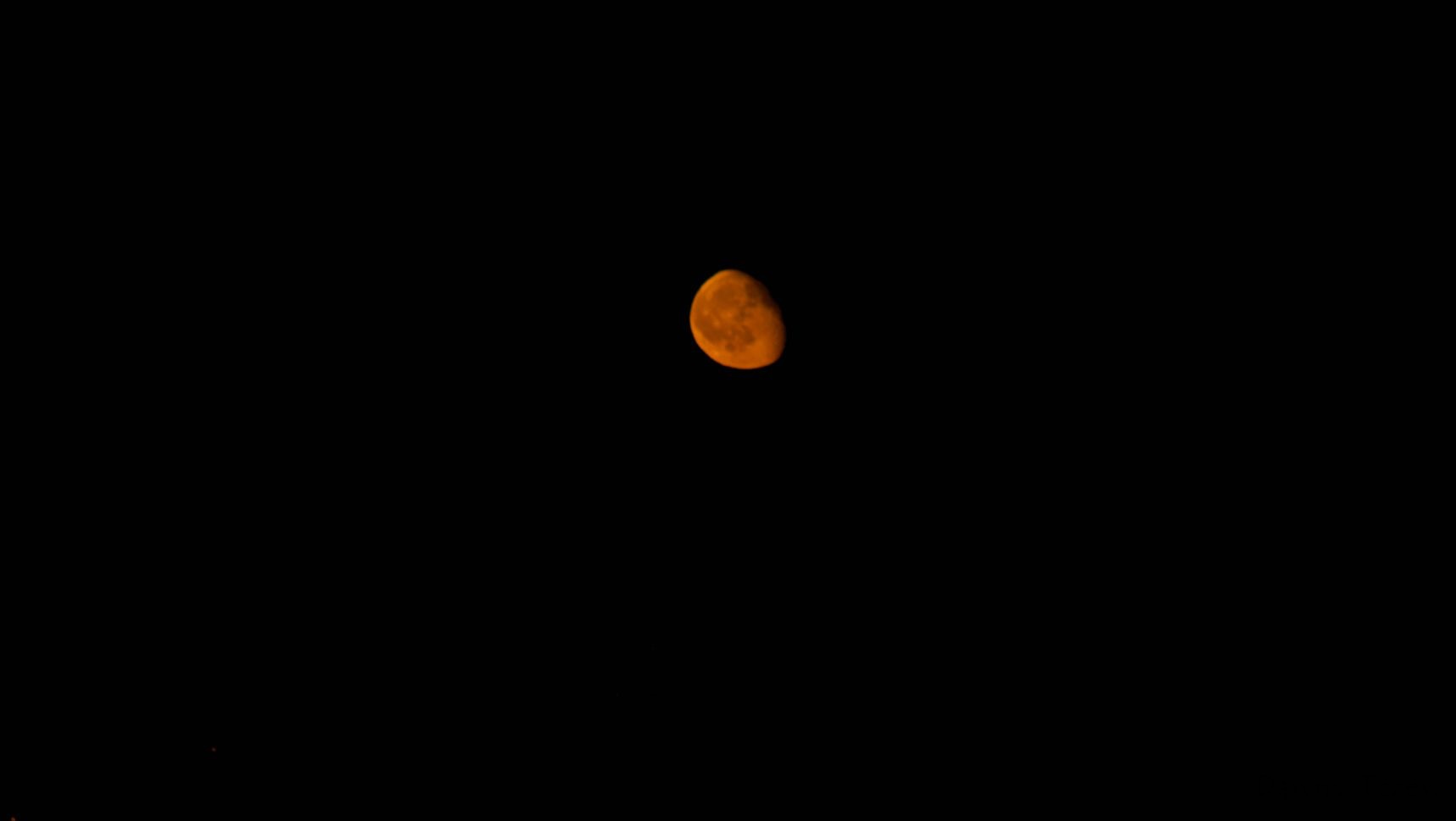 DSC02907.jpg