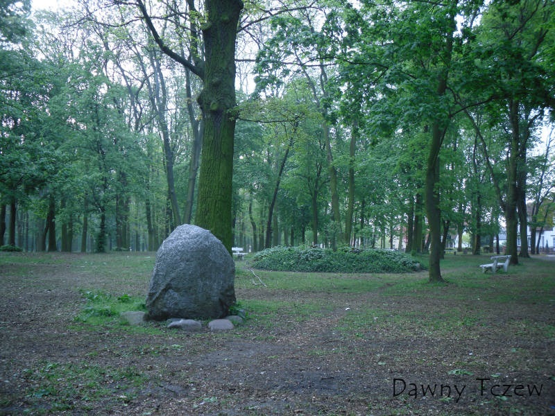 SDC11542.jpg