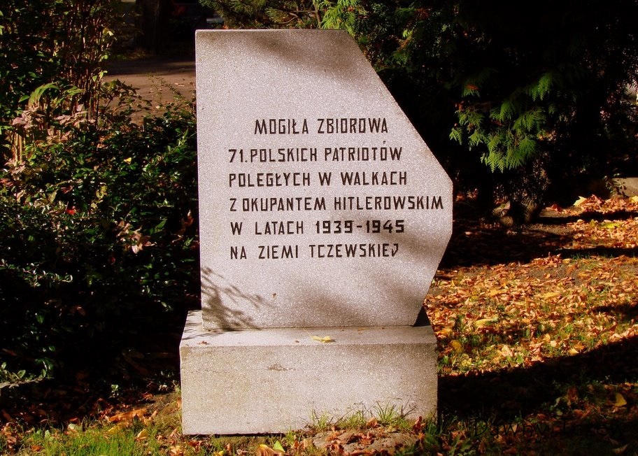 Tczew fotografia nowa nr (558).JPG