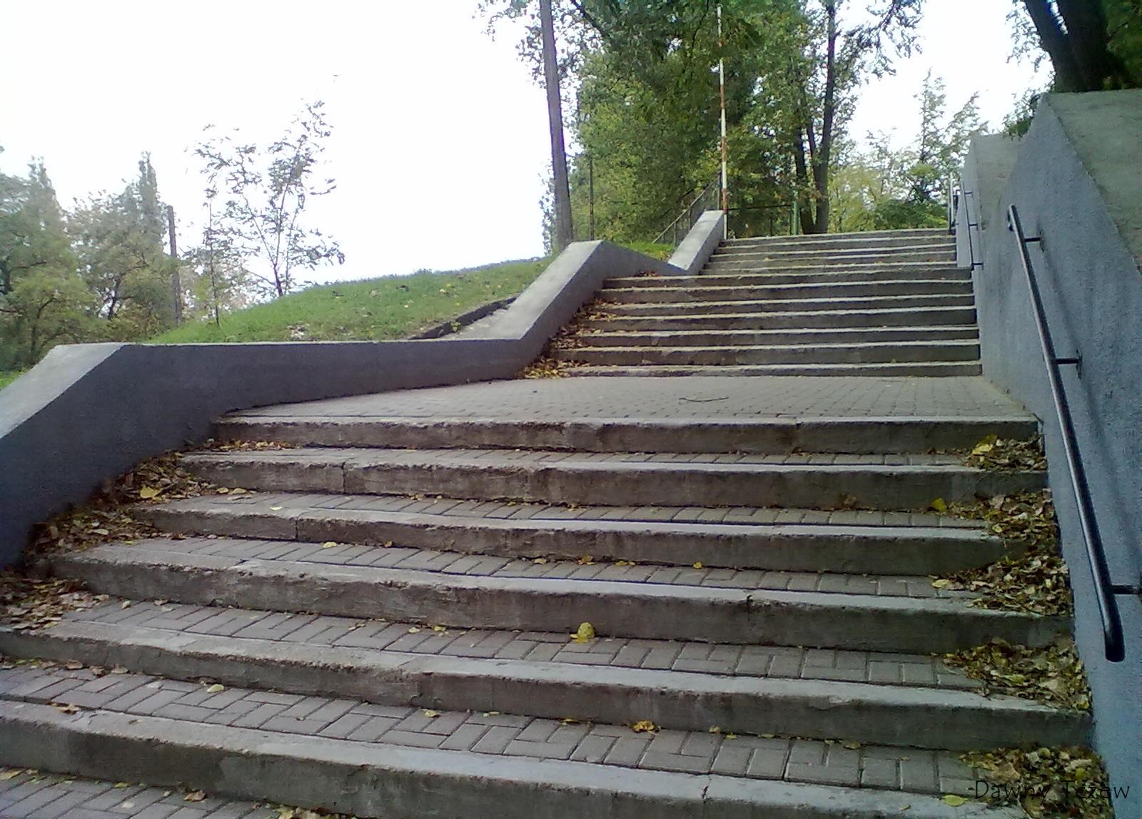 20111010703.jpg