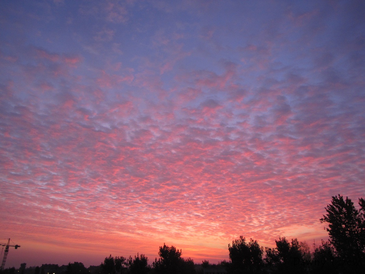 kto rano wstaje....jpg