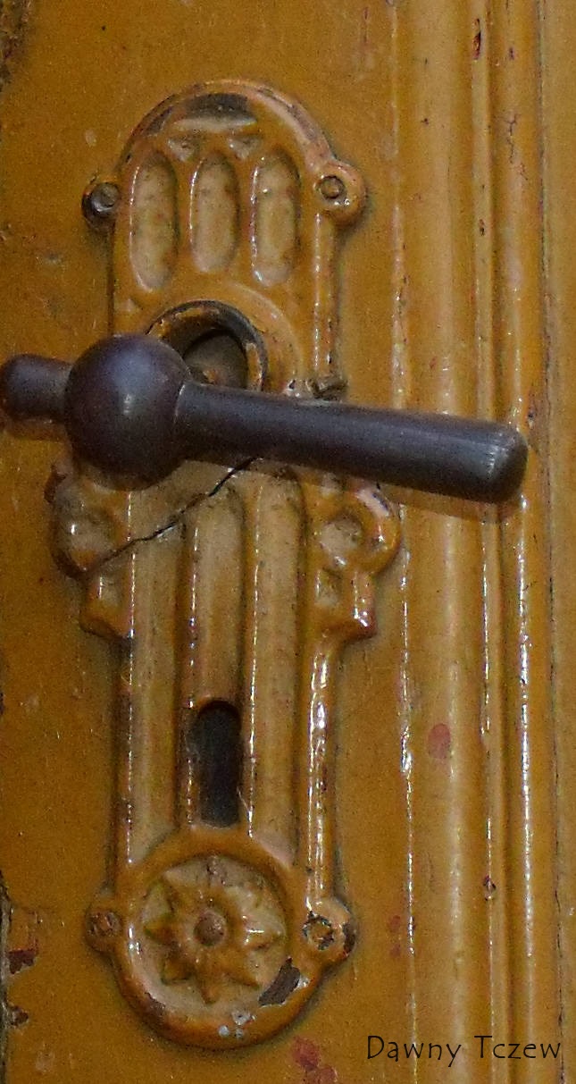DSCF7830.jpg