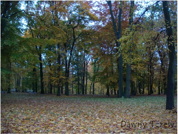 park 01,11,2011 c.jpg