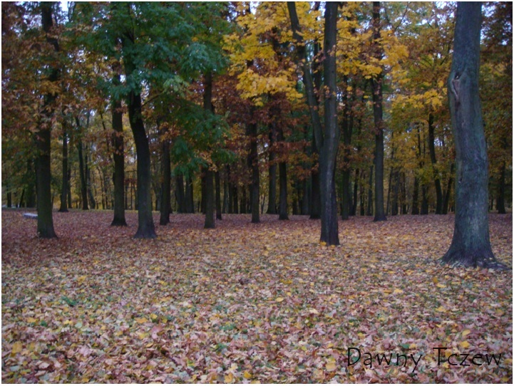 park 01,11,2011 a.jpg