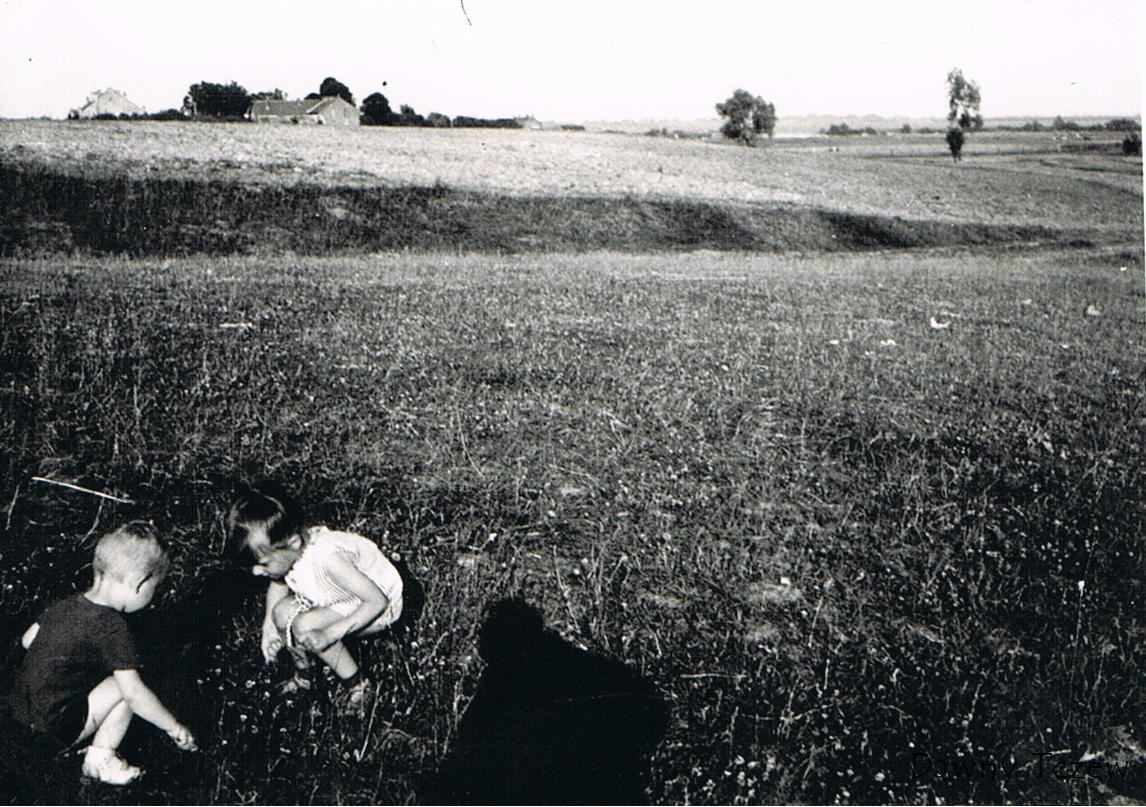 DZ02.JPG