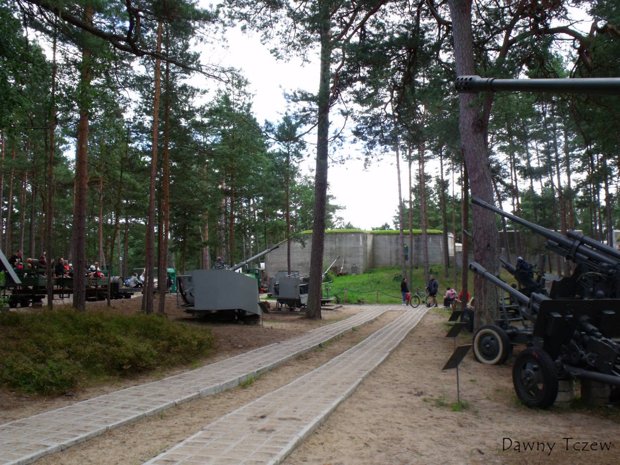 DSCF6310.jpg