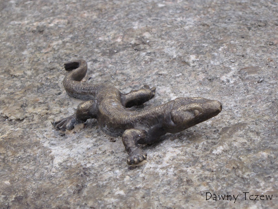 jaszczurka 1.jpg