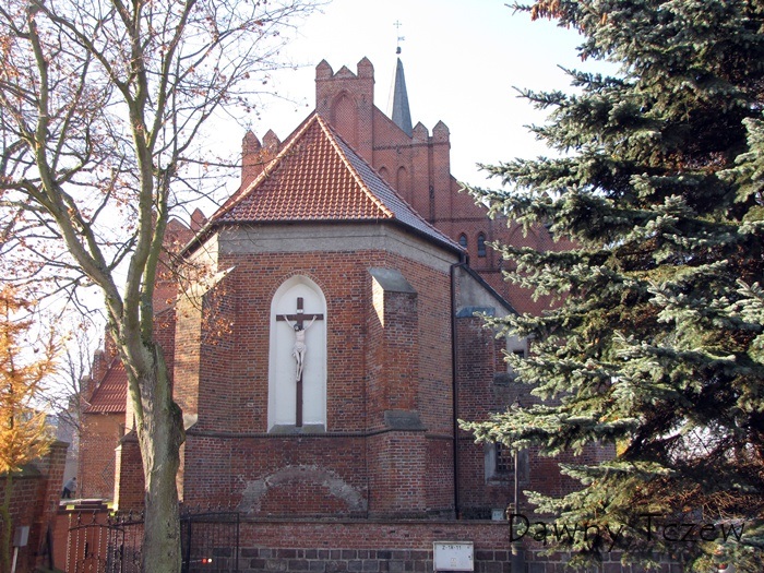widok tył.jpg