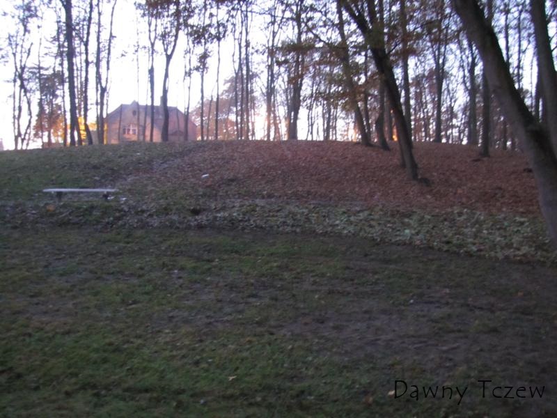 IMG_1019_800x600.JPG