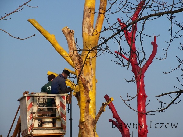 drzewa malowane 2.JPG