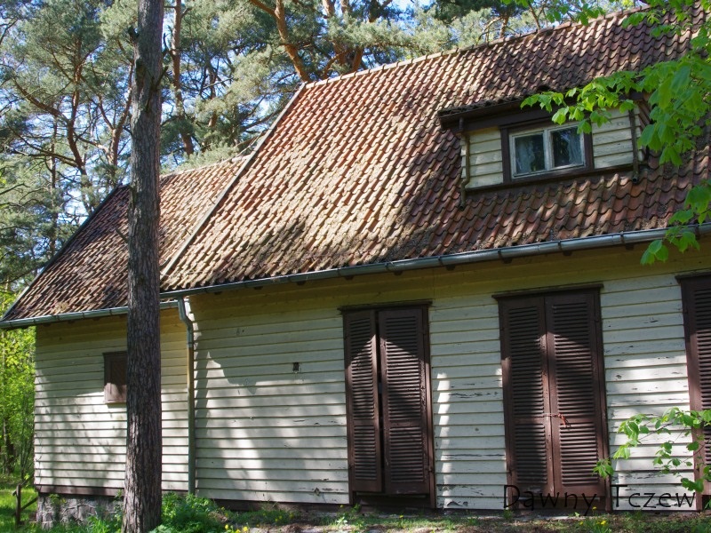 Forsterówka1.jpg